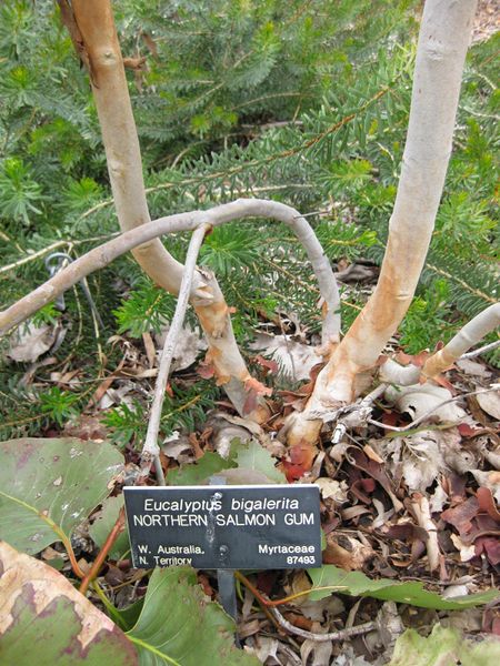 File:450px-IMG 4805 hunt0904.jpg