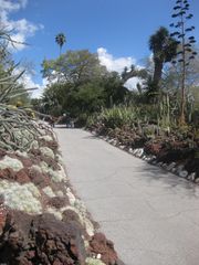 File:180px-IMG 2255 hunt0903.jpg