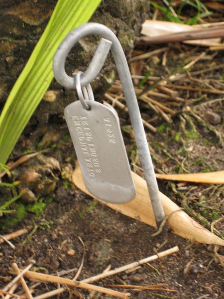 File:450px-IMG 3981 hunt0904.jpg