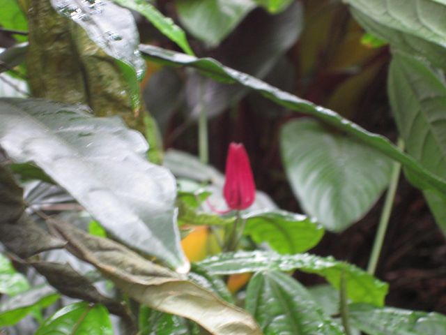 File:640px-IMG 1080 bbg09.jpg