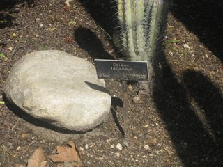 File:320px-IMG 2238 hunt0903.jpg