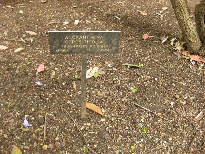 File:800px-IMG 7087 hunt09jun.jpg