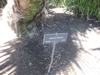 File:320px-IMG 2070 hunt0903.jpg