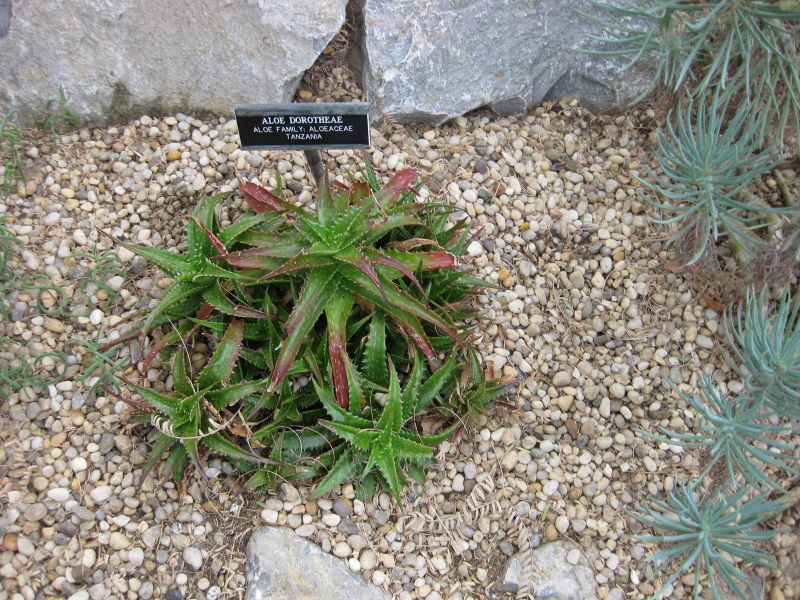 File:800px-IMG 1277 bbg09.jpg