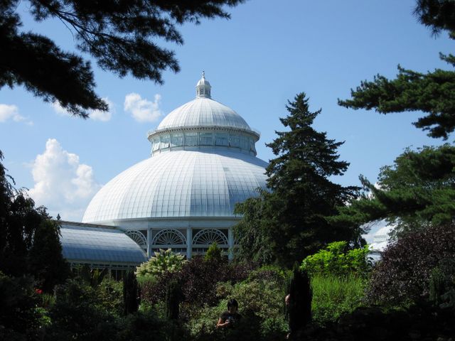 File:640px-IMG 0359 nybg09.jpg