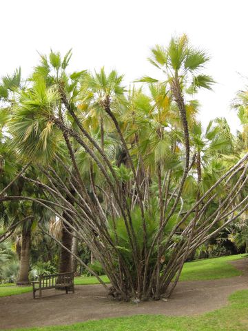 File:360px-IMG 4049 hunt0904.jpg