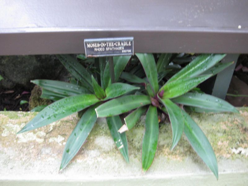 File:800px-IMG 0943 bbg09.jpg