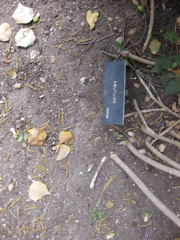 File:360px-IMG 5128 hunt0904.jpg