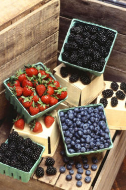 File:250px-Berries (USDA ARS).jpg