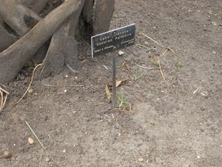 File:320px-IMG 4117 hunt0904.jpg