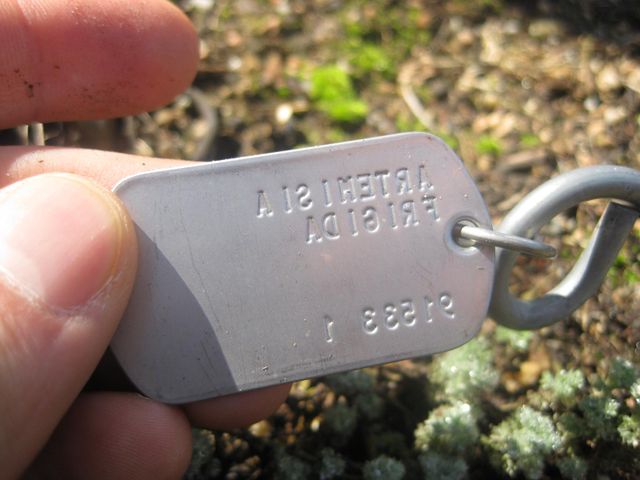 File:640px-IMG 2362 hunt0903.jpg