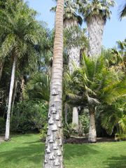 File:180px-IMG 4151 hunt0904.jpg