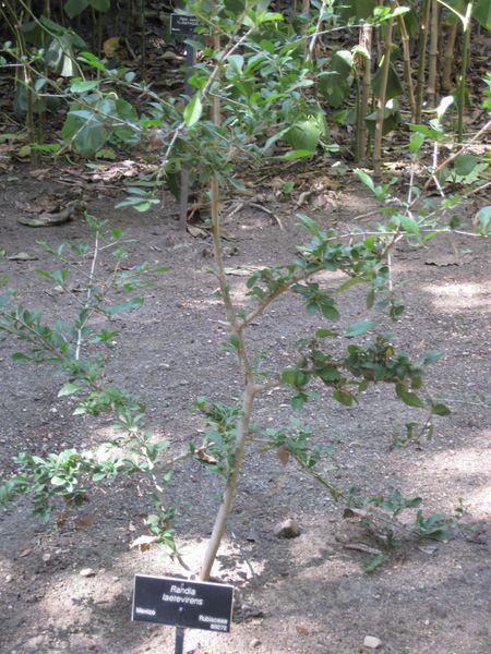 File:450px-IMG 1951 hunt09oct.jpg