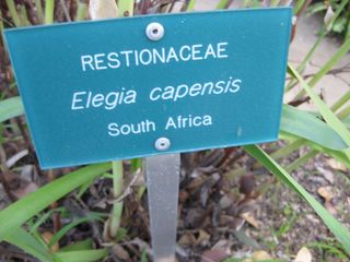 File:320px-IMG 2693 ucla09.jpg