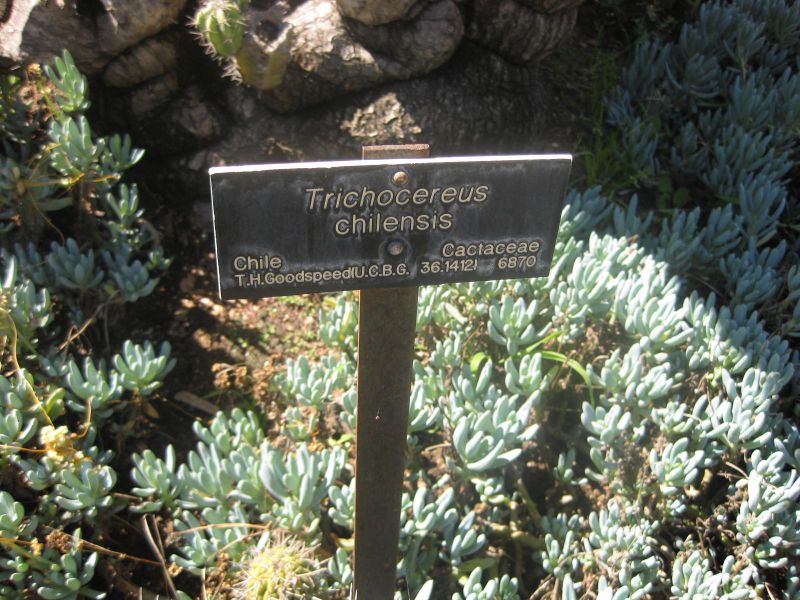 File:800px-IMG 2371 hunt0903.jpg