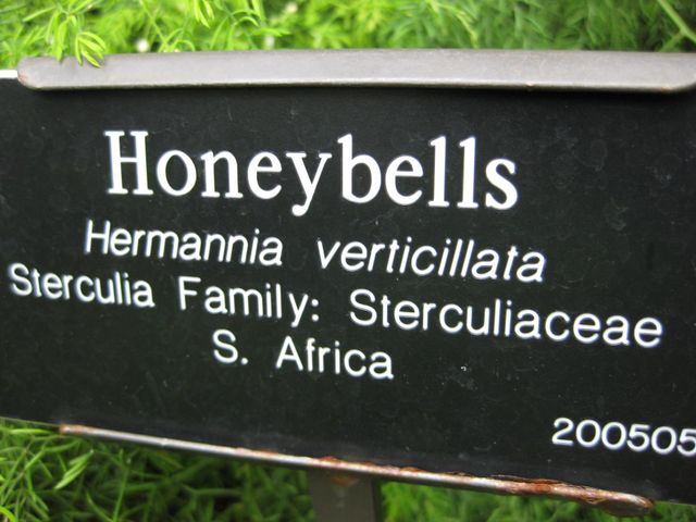 File:640px-IMG 1229 bbg09.jpg