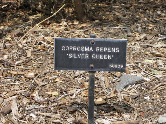 File:640px-IMG 4496 hunt0904.jpg