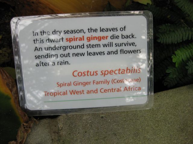 File:640px-IMG 1802 hunt09oct.jpg