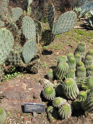 File:360px-IMG 2499 hunt0903.jpg