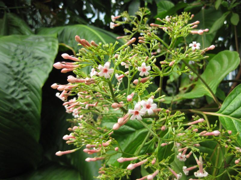 File:800px-IMG 1841 hunt09oct.jpg