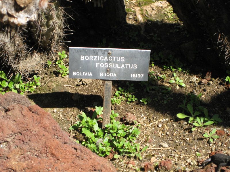 File:800px-IMG 2489 hunt0903.jpg