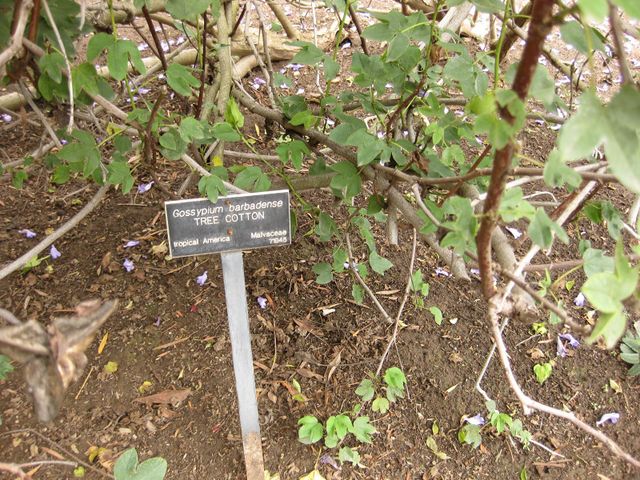 File:640px-IMG 7105 hunt09jun.jpg