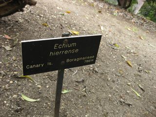 File:320px-IMG 4970 hunt0904.jpg