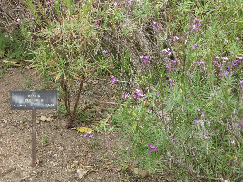 File:800px-IMG 4941 hunt0904.jpg