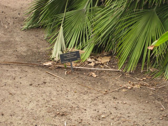 File:640px-IMG 3946 hunt0904.jpg