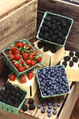 File:79px-Berries (USDA ARS).jpg