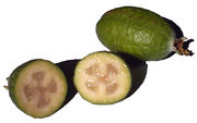 File:180px-Feijoas on white.jpg