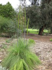 File:180px-IMG 4783 hunt0904.jpg