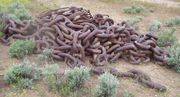 File:180px-Ship chain for clearing.jpg