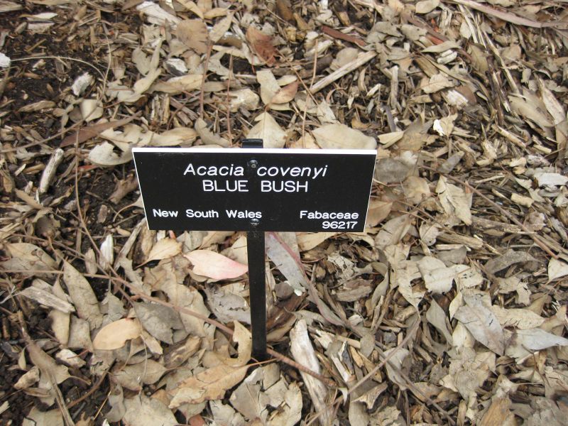 File:800px-IMG 4817 hunt0904.jpg