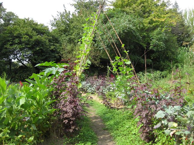 File:640px-IMG 0610 bbg09.jpg