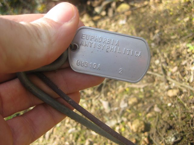 File:640px-IMG 2345 hunt0903.jpg