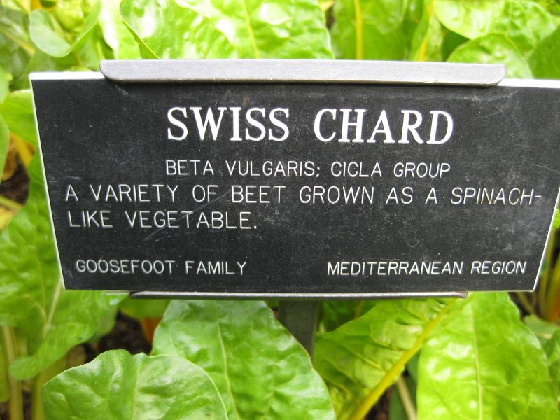 File:800px-IMG 0592 bbg09.jpg