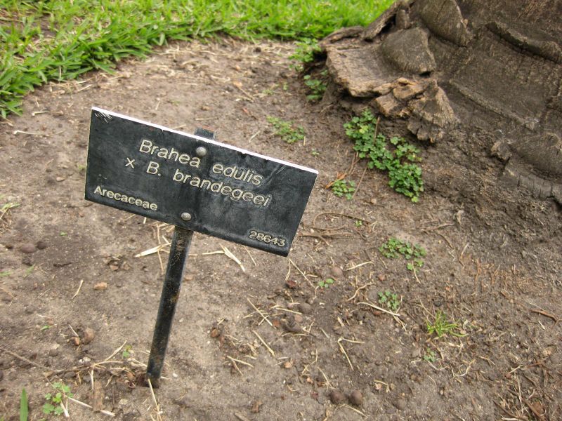 File:800px-IMG 4075 hunt0904.jpg