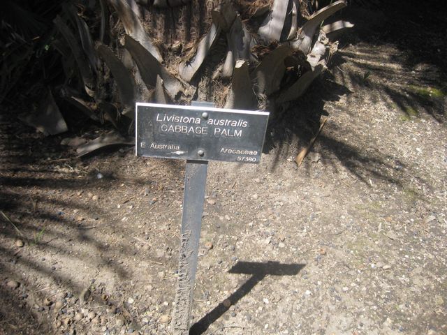 File:640px-IMG 2080 hunt0903.jpg