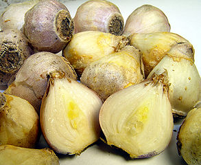 File:293px-Scilla siberica alba bulbs.jpg