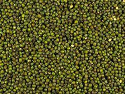 File:250px-MungBean.jpg