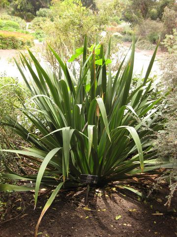 File:360px-IMG 7272 hunt09jun.jpg