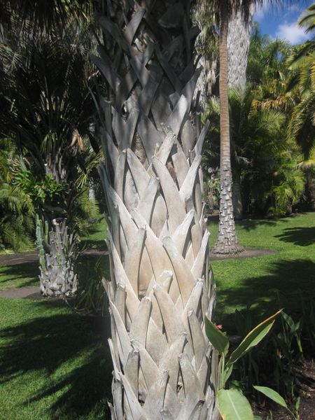 File:450px-IMG 2109 hunt0903.jpg