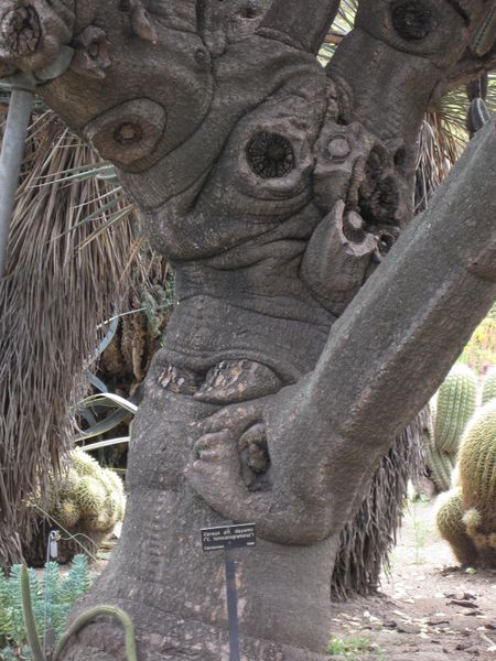 File:450px-IMG 7423 hunt09jun.jpg