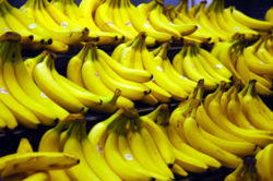 File:250px-Bananas.jpg
