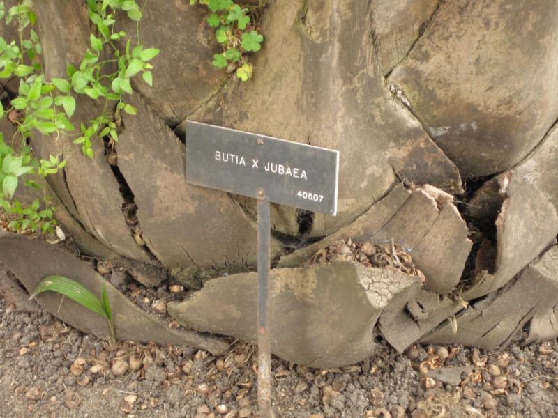 File:800px-IMG 4032 hunt0904.jpg