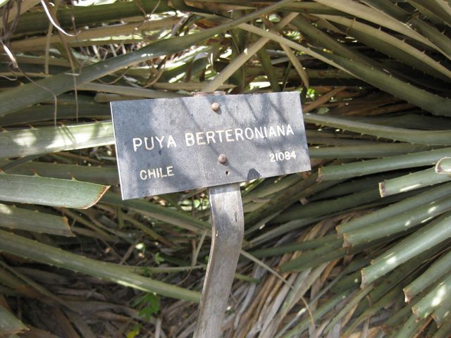 File:640px-IMG 4444 hunt0904.jpg