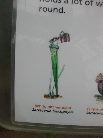 File:360px-IMG 7610 hunt09jun.jpg