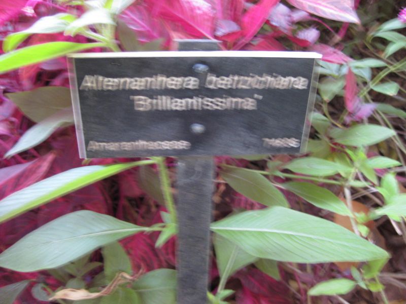 File:800px-IMG 2020 hunt09oct.jpg