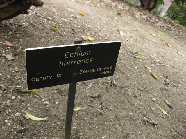 File:640px-IMG 4970 hunt0904.jpg